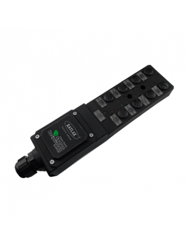 DBM12-84-T Caja de Distribucion con Terminales