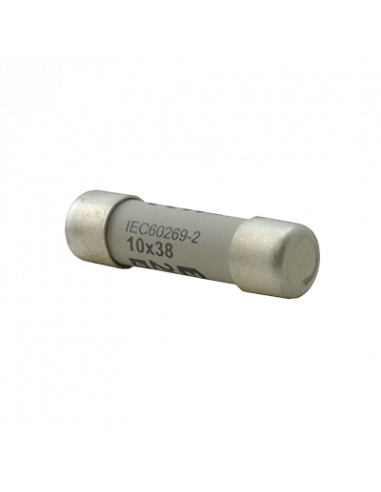 2C10X38GI Fusible Miniatura