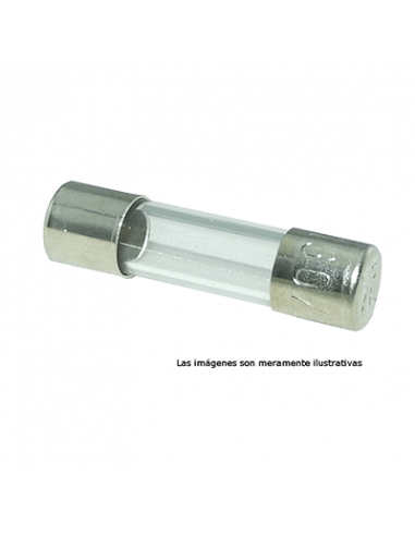 1.25M5X20M Fusible Europeo