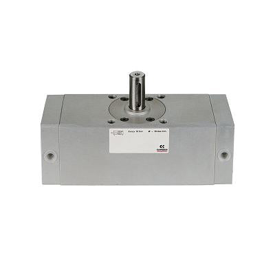 Rotary cylinders - Series 30 30-050/180