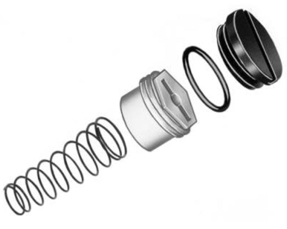 391937 - - KIT CONVERSIÓN P/GAS LP A VS820 V800 Y VR800