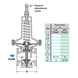 Regulador de Presión B-19-F250-2-V - WATSON MC DANIELS