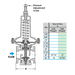 Regulador de Presión B-20-F250-3-V | WATSON MC DANIELS
