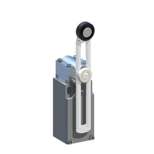 D5129 AM5F51Z11 - INTERRUPTOR LIMITE