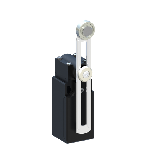 D5576 AP5T53Z11 - INTERRUPTOR LIMITE