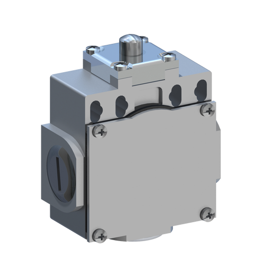 D5383 DM5F11Z11 - INTERRUPTOR LIMITE