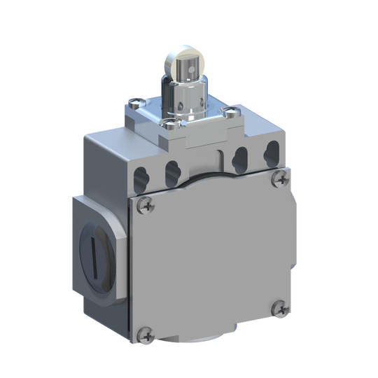 D5384 DM5F12Z11 - INTERRUPTOR LIMITE