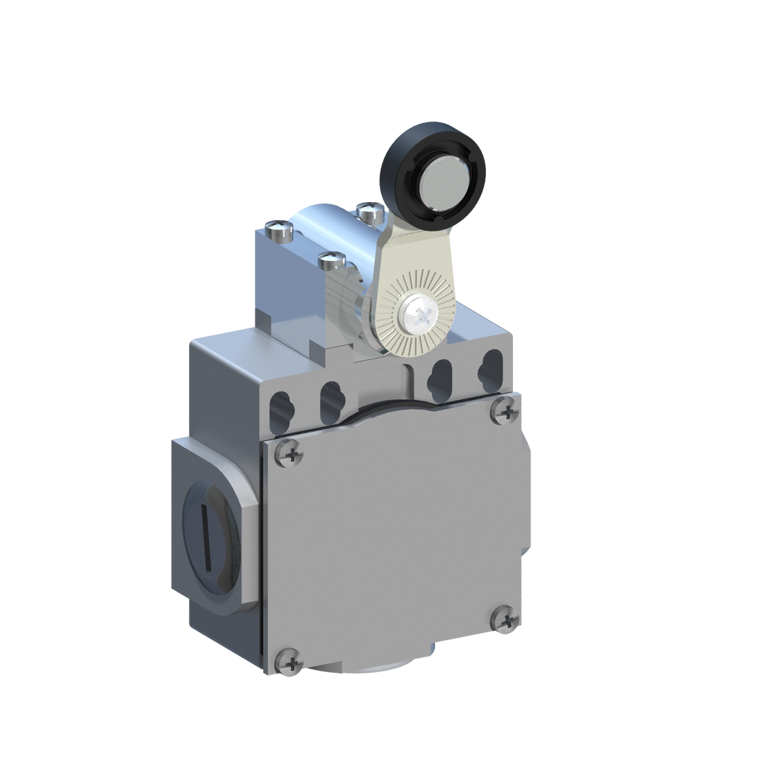 D5387 DM5F41Z11 - INTERRUPTOR LIMITE