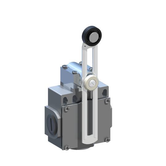 D5389 DM5F51Z11 - INTERRUPTOR LIMITE