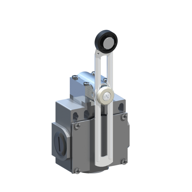 D5389 DM5F51Z11 - INTERRUPTOR LIMITE