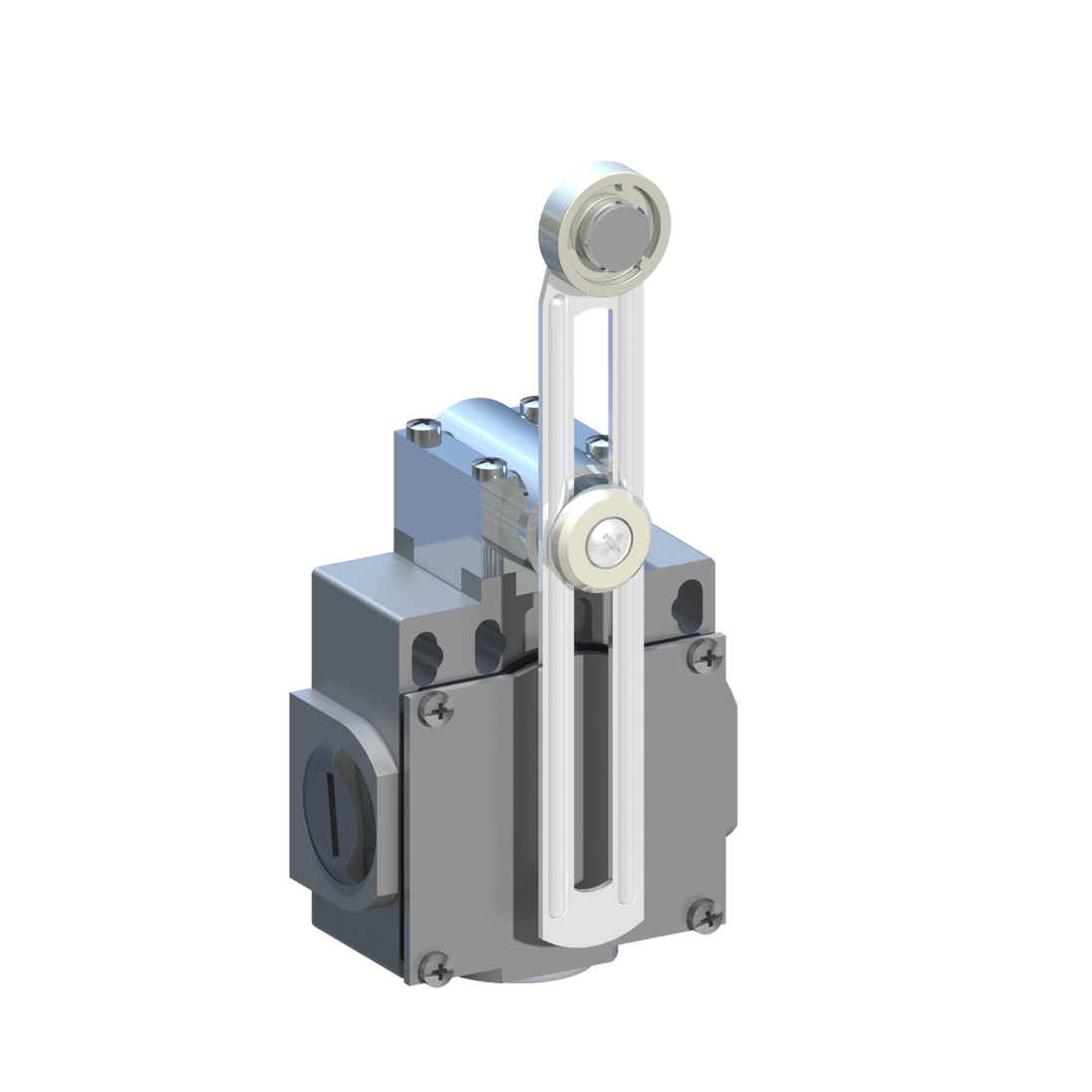 D5390 DM5F53Z11 - INTERRUPTOR LIMITE