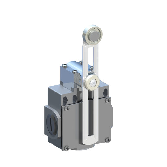 D5390 DM5F53Z11 - INTERRUPTOR LIMITE