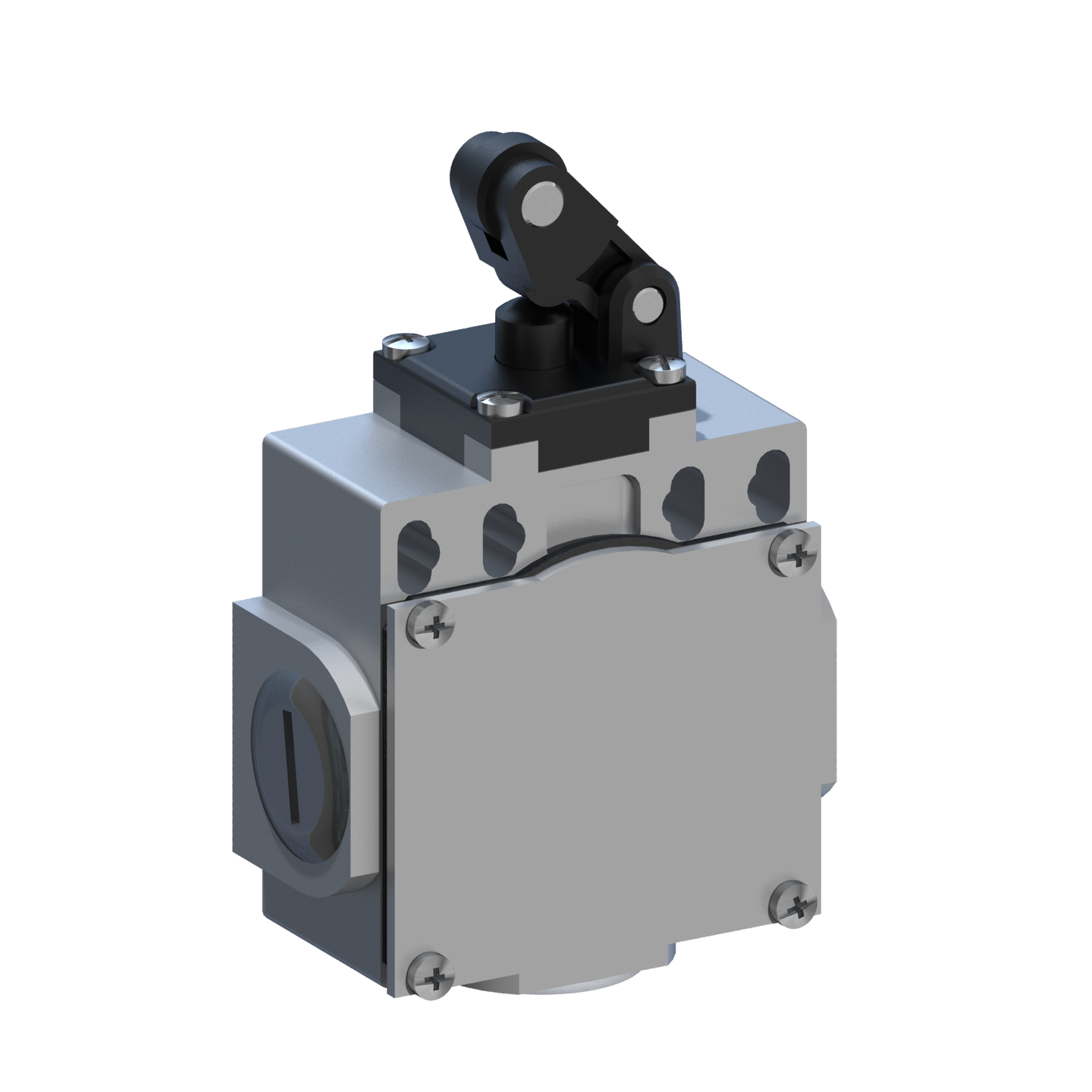 D5386 DM5T30Z11 - INTERRUPTOR LIMITE