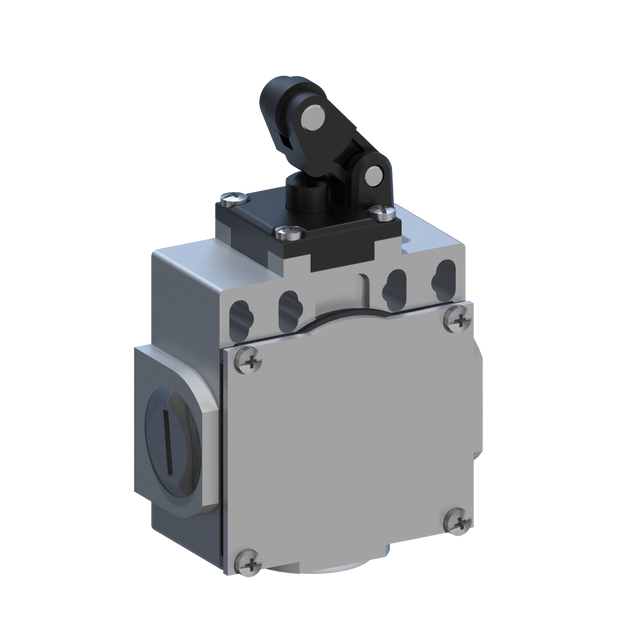 D5386 DM5T30Z11 - INTERRUPTOR LIMITE