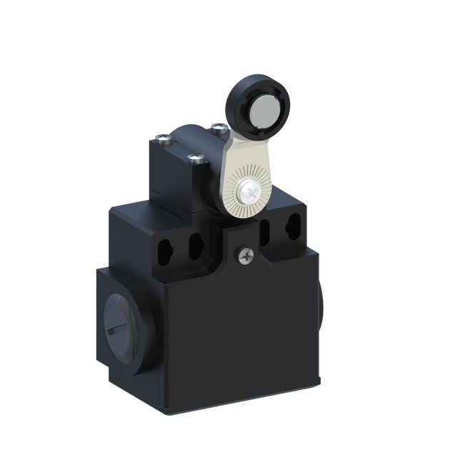 D5589 DP5T41Z11 - INTERRUPTOR LIMITE