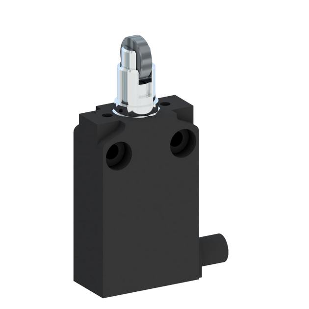 D5282 EP1G14Z - INTERRUPTOR LIMITE