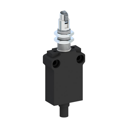 D5300 EP2G24Z - INTERRUPTOR LIMITE