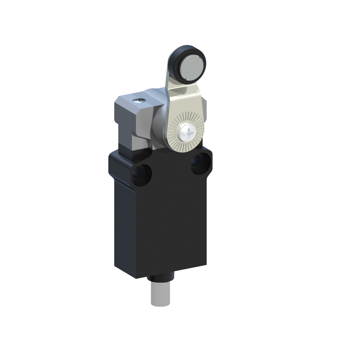 D5171 EP2G41ZU - INTERRUPTOR LIMITE PLASTICO