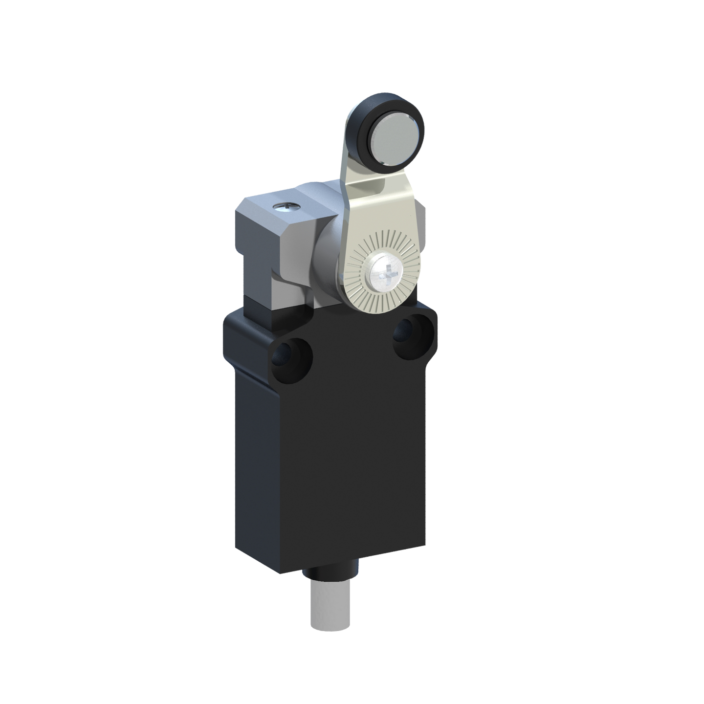 D5171 EP2G41ZU - INTERRUPTOR LIMITE PLASTICO