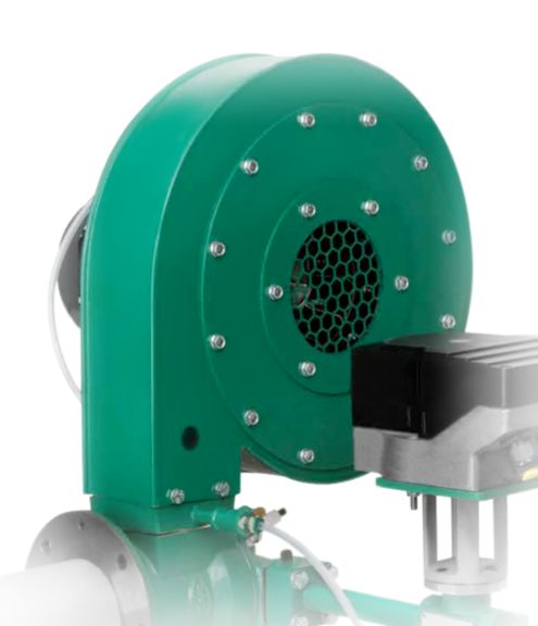 31062 - ELEMENTO FILTRANTE.