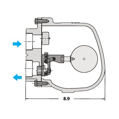 Trampa de Condensado WFT-250-17-N - WATSON MC DANIELS
