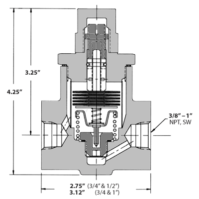WT5000-12-SW - Regulador de Temperatura de Condensado