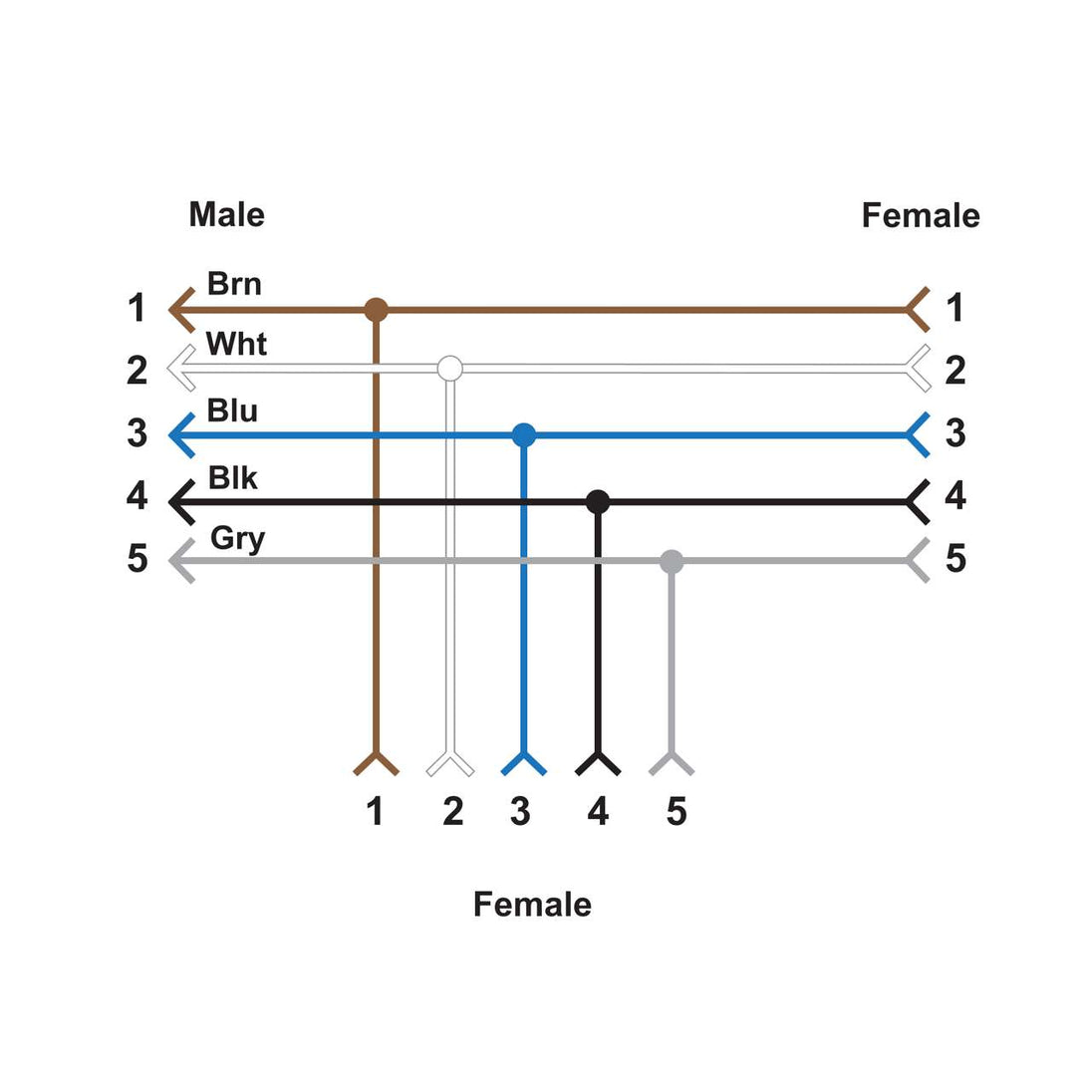 A diagram shows 1–5 male-female pairings with brown, white, blue, black, and gray lines—each line is a CSB-M1250M1250-T Conector Divisor M12 T 807397 cable, featuring M12 connectors on both sides.