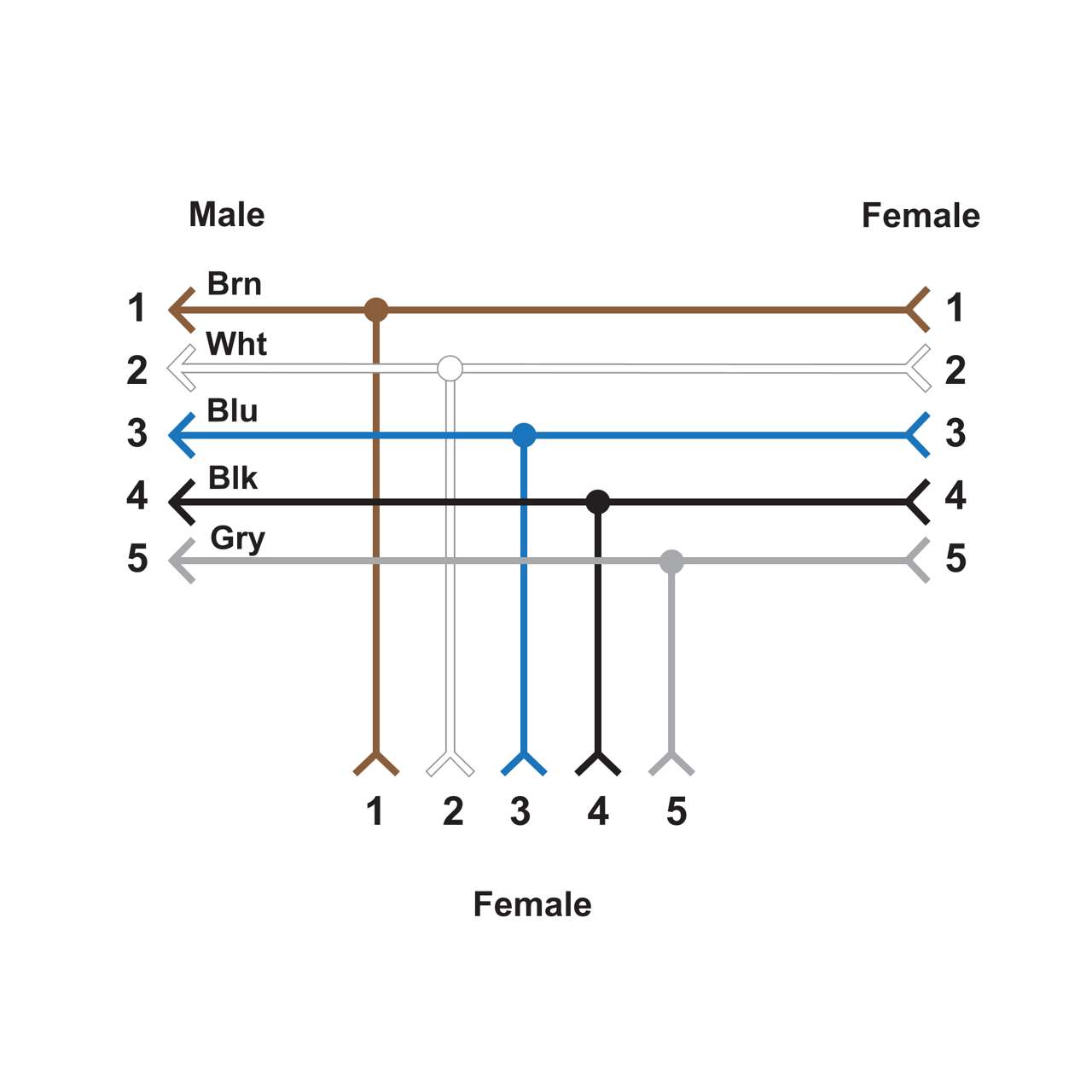 A diagram shows 1–5 male-female pairings with brown, white, blue, black, and gray lines—each line is a CSB-M1250M1250-T Conector Divisor M12 T 807397 cable, featuring M12 connectors on both sides.