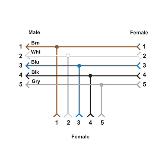 A diagram shows 1–5 male-female pairings with brown, white, blue, black, and gray lines—each line is a CSB-M1250M1250-T Conector Divisor M12 T 807397 cable, featuring M12 connectors on both sides.
