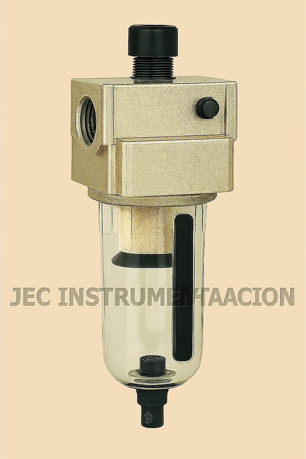 EF4000-N04D FILTRO PARA AIRE 1/2 NPT, 25 MICRAS, PURGA AUTOMATICA.
