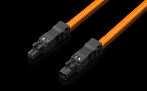 2500450 Cable de conexión